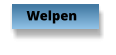 Welpen