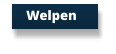 Welpen