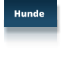 Hunde