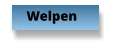 Welpen