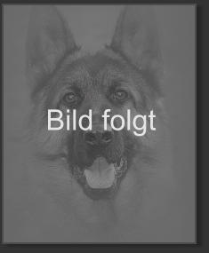 Bild folgt