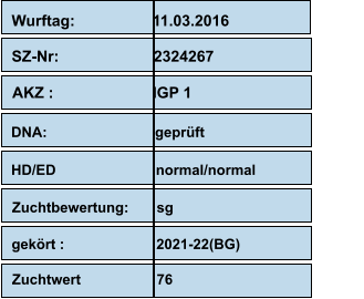 Wurftag:                  11.03.2016                     SZ-Nr:                      2324267                    AKZ :                       IGP 1                                         DNA:                           geprüft                       HD/ED                         normal/normal Zuchtbewertung:       sg       gekört :                       2021-22(BG) Zuchtwert                   76