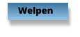 Welpen