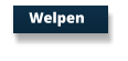 Welpen