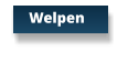 Welpen