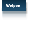 Welpen